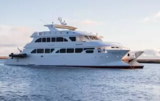 Ecogalaxy Yacht exterior