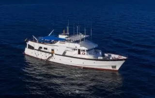 Beluga Yacht