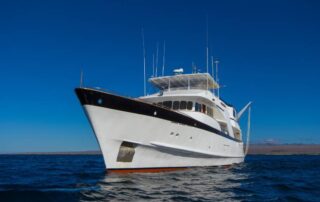 Beluga Yacht exterior