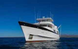 Beluga Yacht exterior