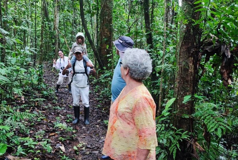 Sani Lodge Walks forest