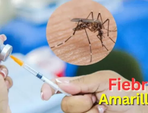 Vacunación obligatoria Fiebre Amarilla: Requisitos de Entrada en Ecuador