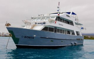 Bonita Yacht