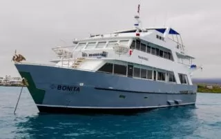 Bonita Yacht