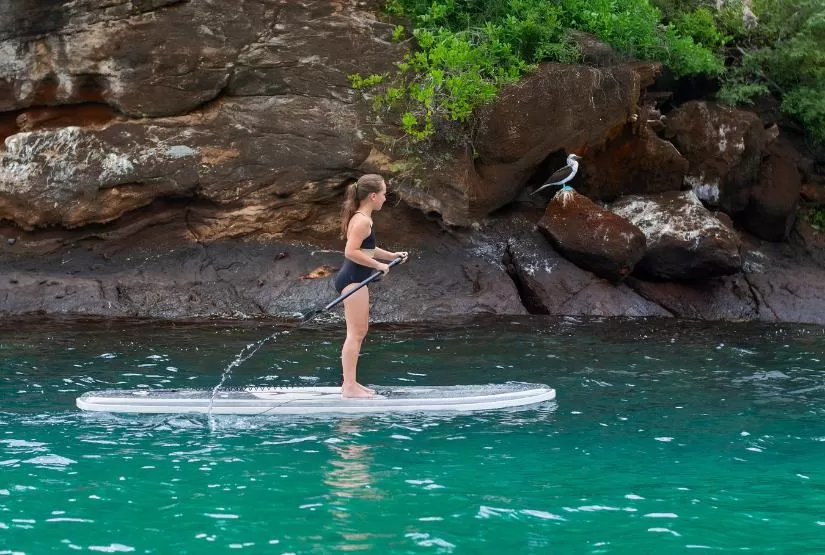 Tribute Yacht Paddle board