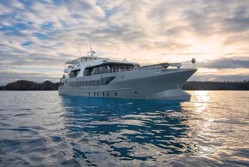 Tribute Yacht