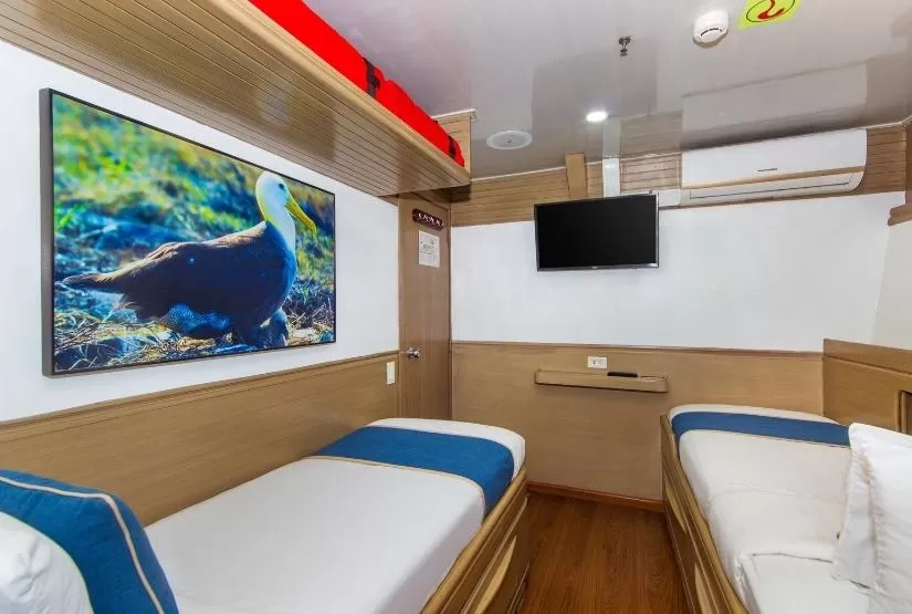 Calipso Yacht Galapagos Twin cabin