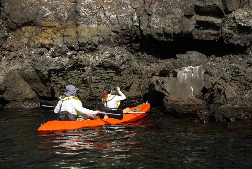 Grand Majestic Yacht Kayak