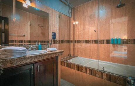 Hotel Flamingo Bathroom