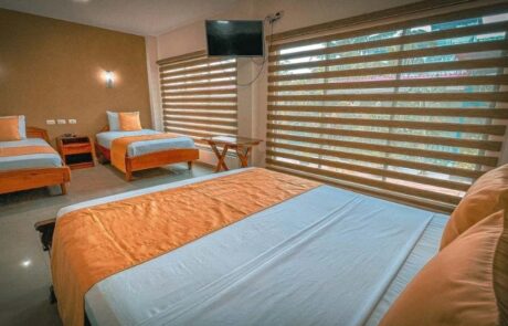 Hotel Flamingo Cuadruple Room