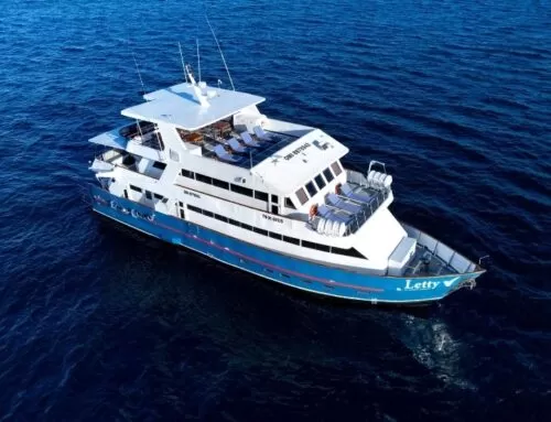 Letty Yacht