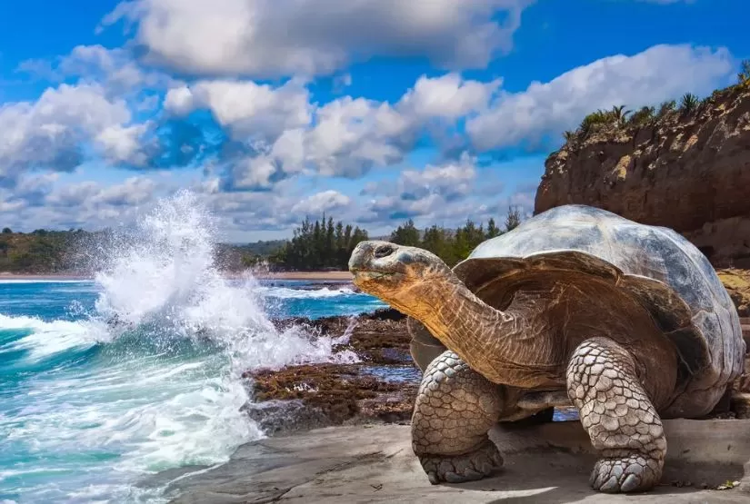 ecuador and galapagos tour