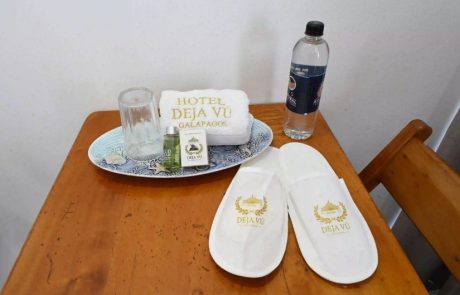 deja vu amenities