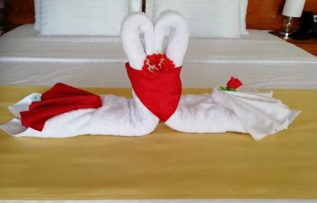 deja vu decoration