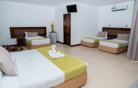 dejavu beds