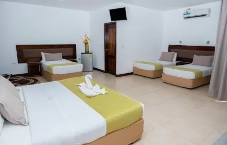 dejavu beds dejavu beds