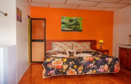 matrimonial bed room